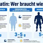 Kreatin-Dosierung nach Muskelmasse berechnen - Vergleich drei Gruppen