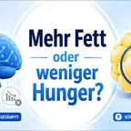 GLP-1 Wirkung auf Fettverbrennung und Appetit erklärt mit Schaubild