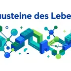 Aminosäuren Bausteine des Lebens, Guide zum Proteinbedarf, flaches Design