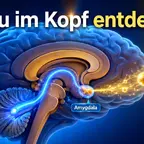 Illustration zeigt GLP-1 Belohnungssystem im Gehirn mit Dopamin-Signalweg